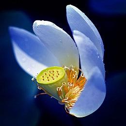 沉浸式模拟游戏《网络工程师模拟器》 现已开启抢先体验